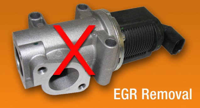 egr-removal-manchester